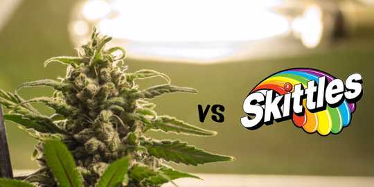 “Skittles Vs. Zkittles: Wrigley sues company selling infused candy knockoffs”