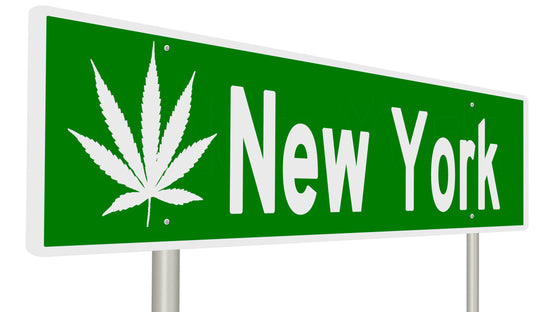 New York Legalizes Recreational Cannabis: Economics, allowances, and legal implications