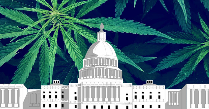 Political Dichotomy Of Legalization