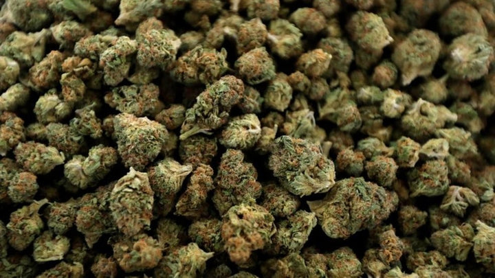 The End Of Marijuana Prohibition Is Going To The House Floor