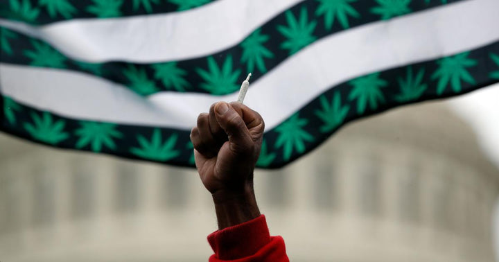 Racial Disparity in The American Cannabis Industry: How it Happens and Why.