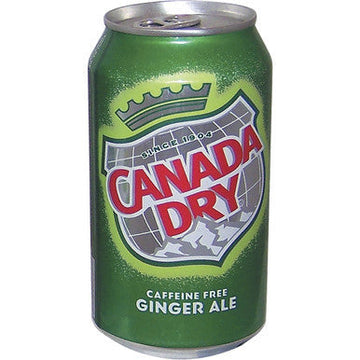 Canada Dry 12Oz. Safe Can