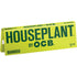 24 Ct. Bamboo Houseplant by Ocb
