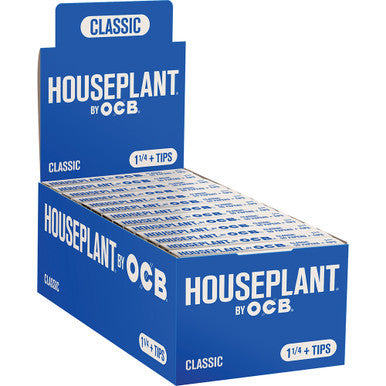 24 Ct. Classic Houseplant by Ocb