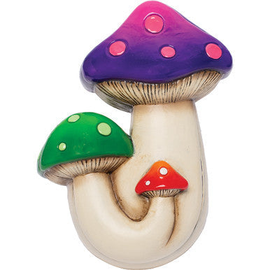 6In Large Multi Color Triple Mushroom Stash Box